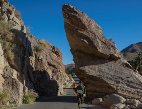 Milanovich Legacy: Hike and 5k Run in Indian Canyons